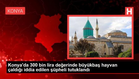 Konya’da 300 bin lira pahasında büyükbaş hayvan çaldığı sav edilen kuşkulu tutuklandı