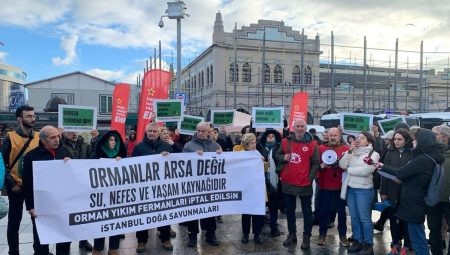 662 bin orman sır oldu